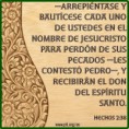 /album/fotogaleria-inicio/a184784-414675238610013-1663398008-n-1-jpg/